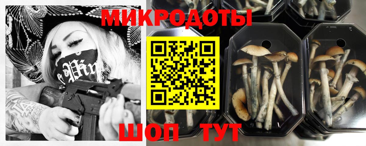 Псилоцибиновые грибы мицелий Зима