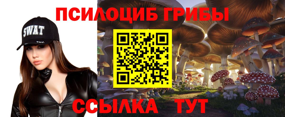 Галлюциногенные грибы прущие грибы  Вход с VPN  Зима 