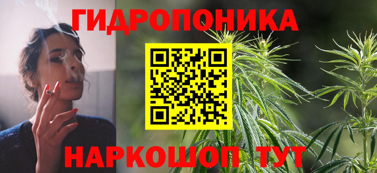 Зима  Бошки марихуана Bruce Banner  Каннабис планчик  Бошки марихуана Ganja  Канабис THC 21%  Вход с VPN 